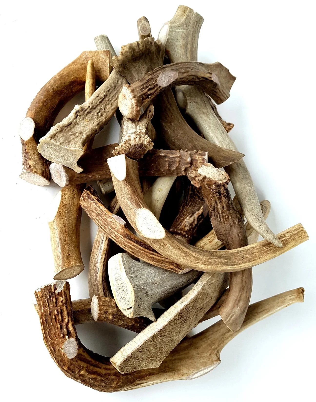 Bulk - Antler Mini