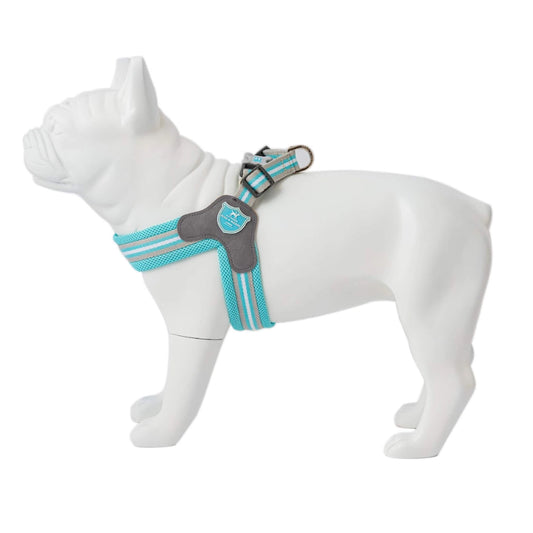 H&H Easy Walk V Dog Harness - all colours and sizes