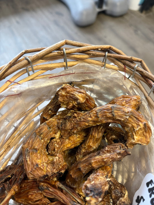 Turkey Neck