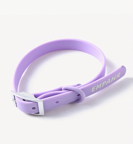 Empawr - city dog collar - lilac