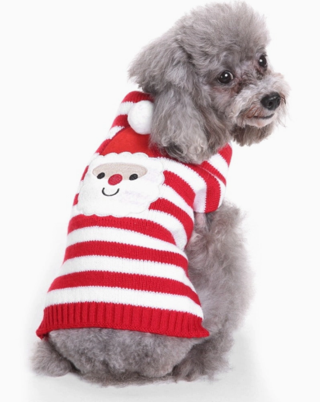 Red Christmas Santa Dog Sweater