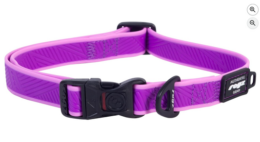 Rogz Amphibian Classic Dog Collar, Purple, Medium